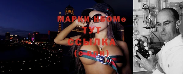 стаф Зеленокумск