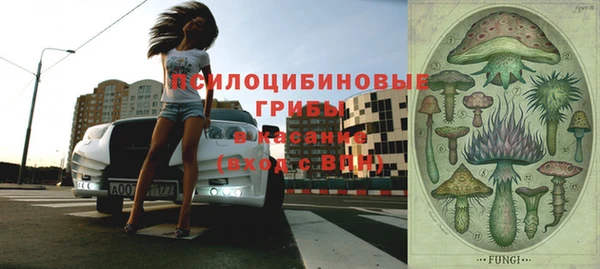 стаф Зеленокумск