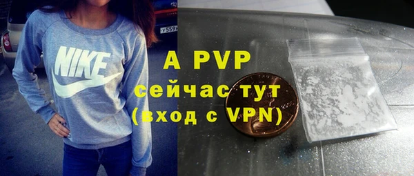 стаф Зеленокумск