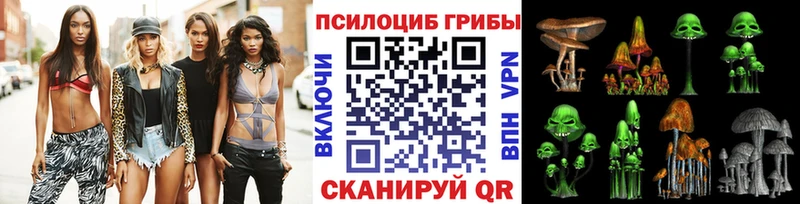 Купить  Кирсанов  Галлюциногенные грибы Cubensis 